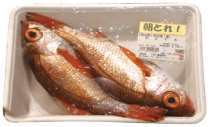 高級魚のノドグロも安い。そしてうまい